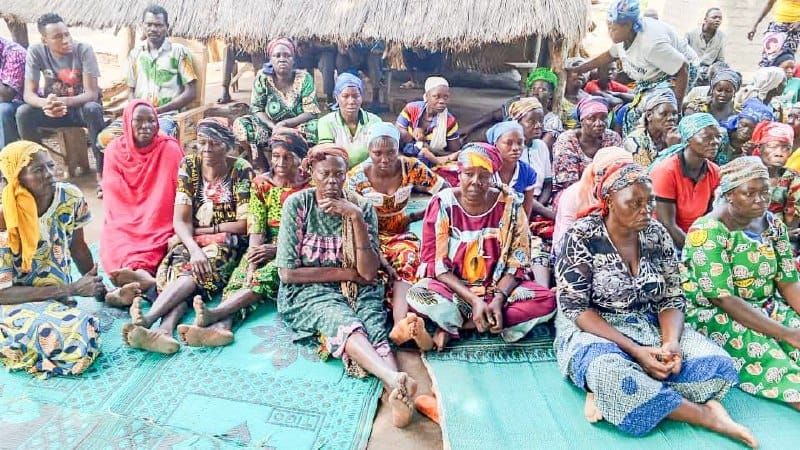 Tchad : à Bohobé, vers une cohabitation pacifique entre agriculteurs et éleveurs