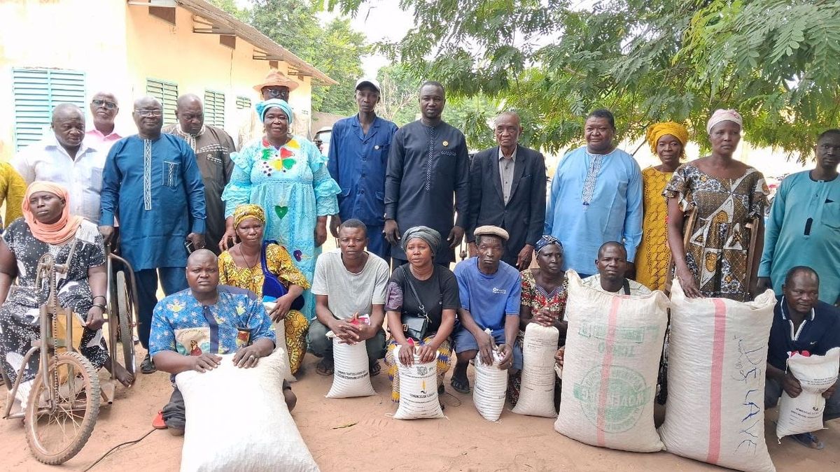Tchad : au Mandoul, soutien agricole pour les démunis face à l'insécurité alimentaire
