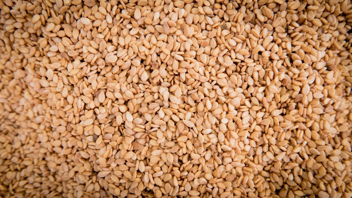 Sésame, or, gomme arabique : le Tchad a d'autres richesses, mais elles pèsent à peine 15 %