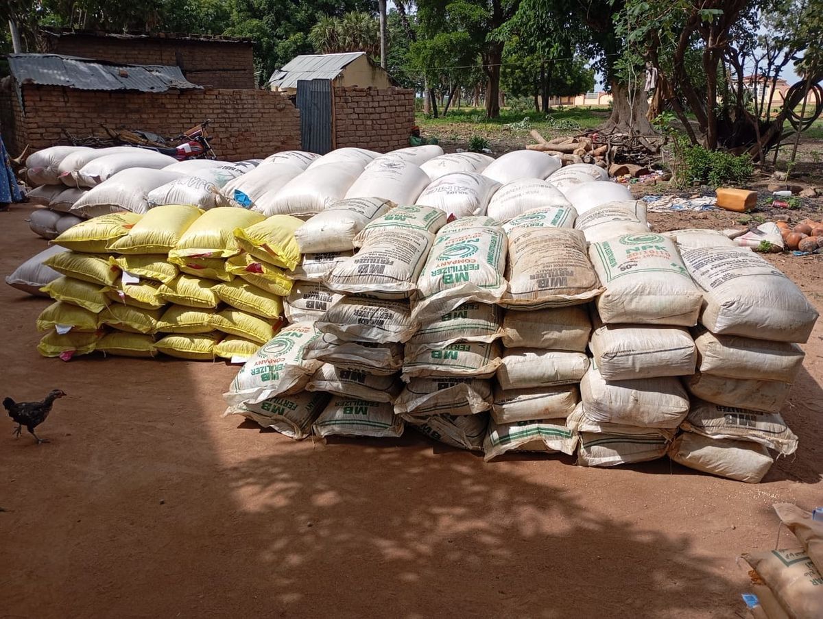 Tchad : au Logone Oriental, 510 groupements agricoles bénéficient de semences et d’engrais