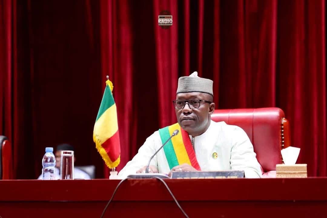 Financement de la centrale hydroélectrique de Kourouba : le CNT approuve l'accord de prêt