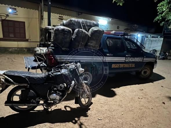 Sénégal : 360 kg de chanvre indien saisis à Joal