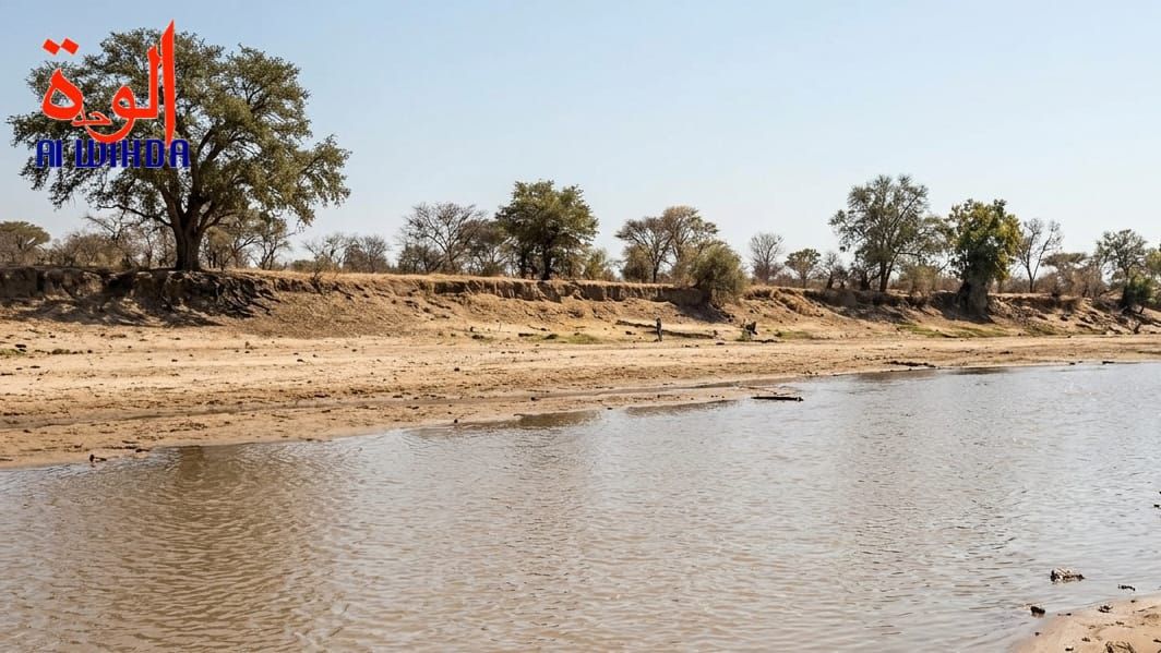 Tchad : le Bahr-Azoum, ce fleuve qui rythme si fortement la vie de la population du Salamat