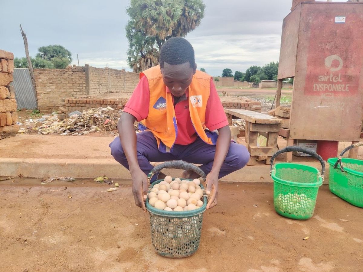 Tchad : les œufs de pintades, un tremplin entrepreneurial pour les élèves à Kélo