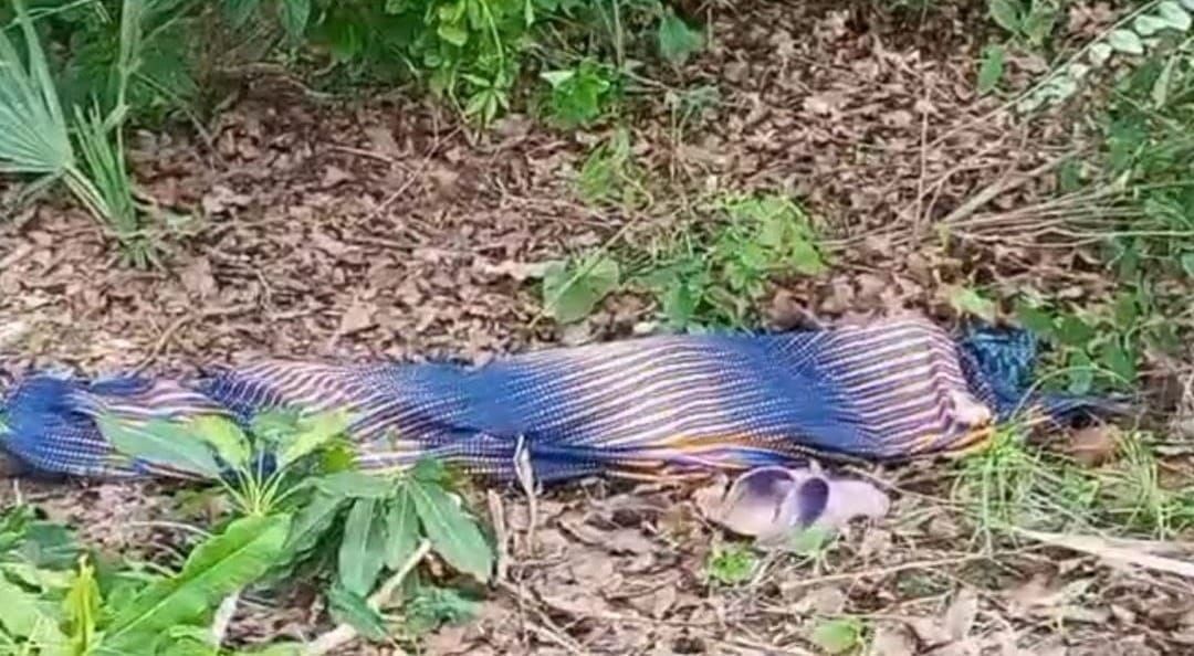 Tchad : une fillette meurt électrocutée dans une ferme à Bragoto