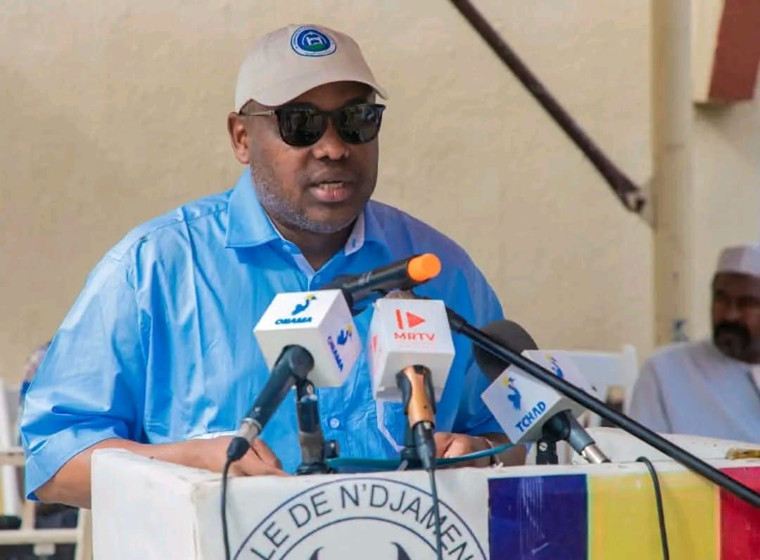 Paludisme à N'Djamena : une vaste campagne de distribution de moustiquaires lancée