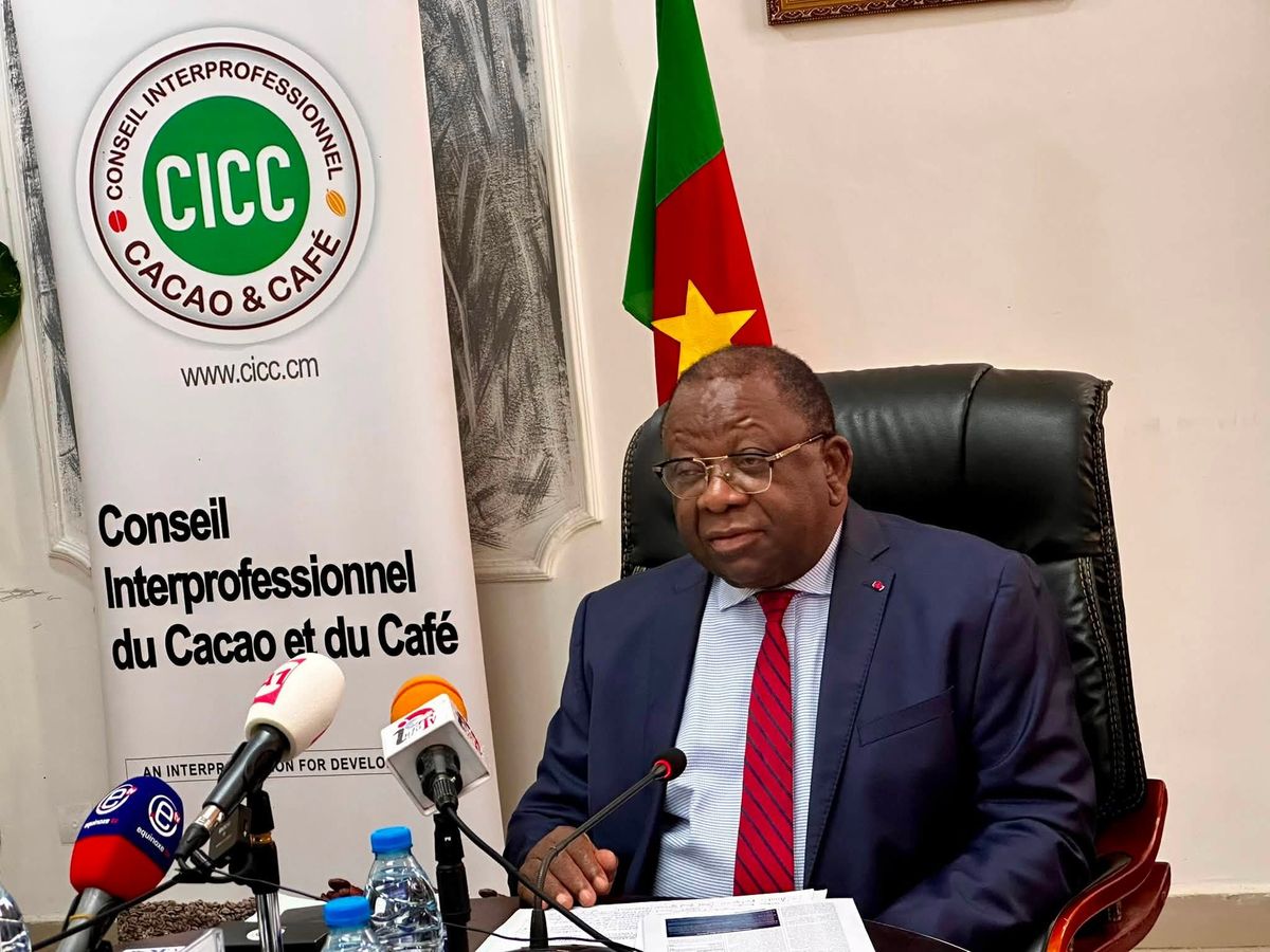 Règlement européen sur la déforestation : le Cameroun affine ses préparatifs pour sauver sa filière cacao