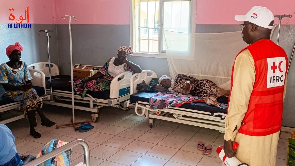 Tchad : la Croix-Rouge du Salamat passe à l'offensive contre le choléra à l'hôpital provincial