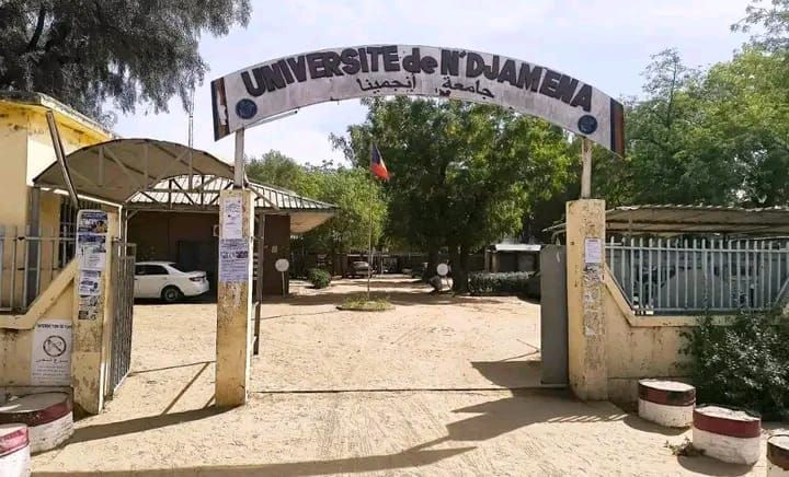 Tchad : trois ans à la faculté pour apprendre une langue, le grand paradoxe
