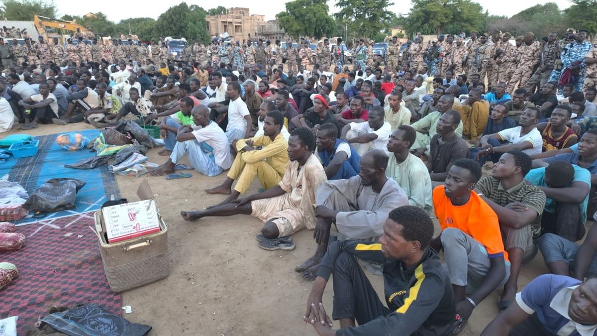 N’Djamena : 252 personnes arrêtées dans une opération anti-criminalité
