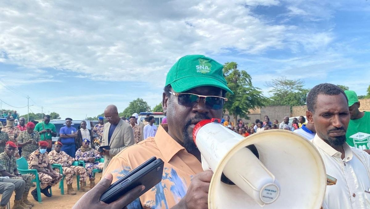 Tchad : un appel à l'action collective pour la Semaine nationale de l'arbre à Sarh