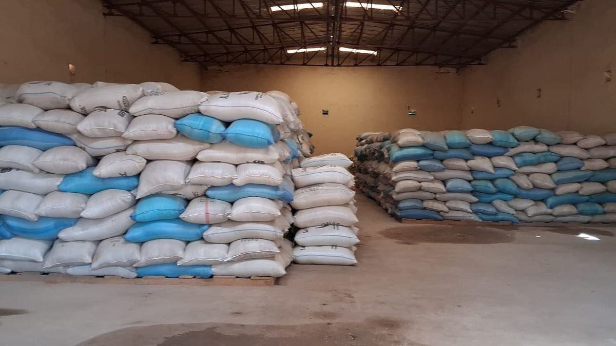 Tchad : au Mandoul, lancement de la vente subventionnée des céréales pour les plus vulnérables