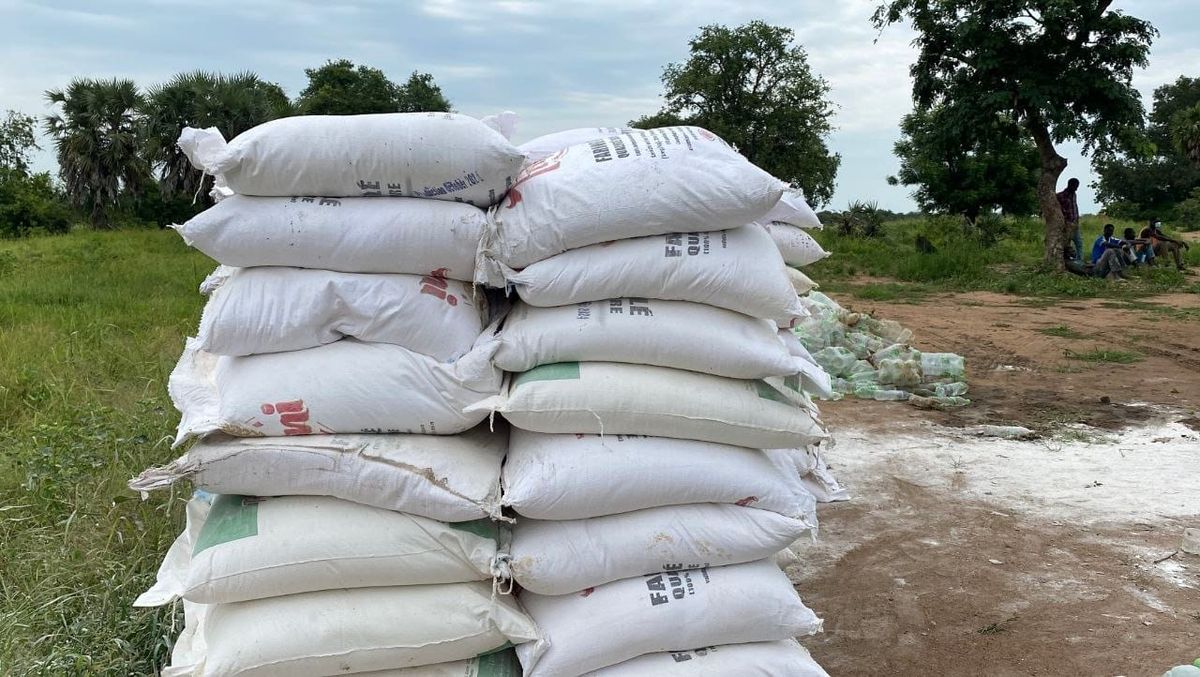 Tchad : à Sarh, destruction de produits périmés saisis sur les marchés