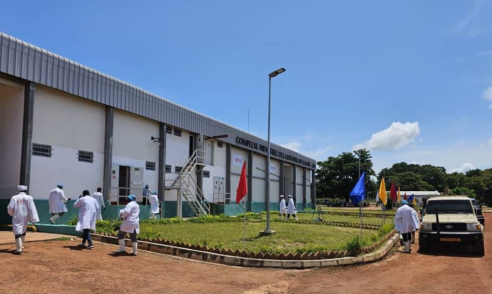 Tchad : 66 ans après l’indépendance, le piège d’une économie sans usines