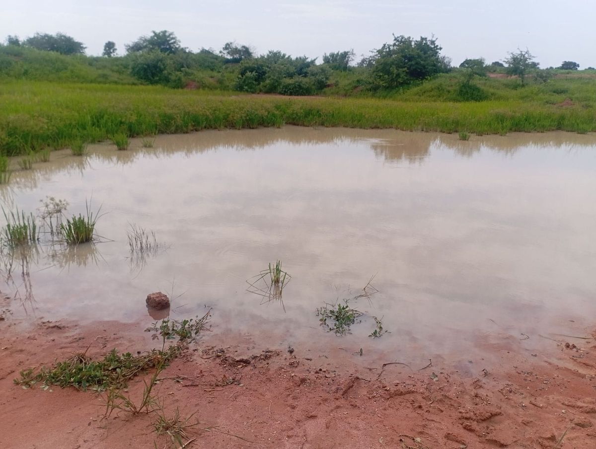 Tchad : le projet controversé d'utilisation d'eaux usées dans les carrières de la Nya irrite les habitants