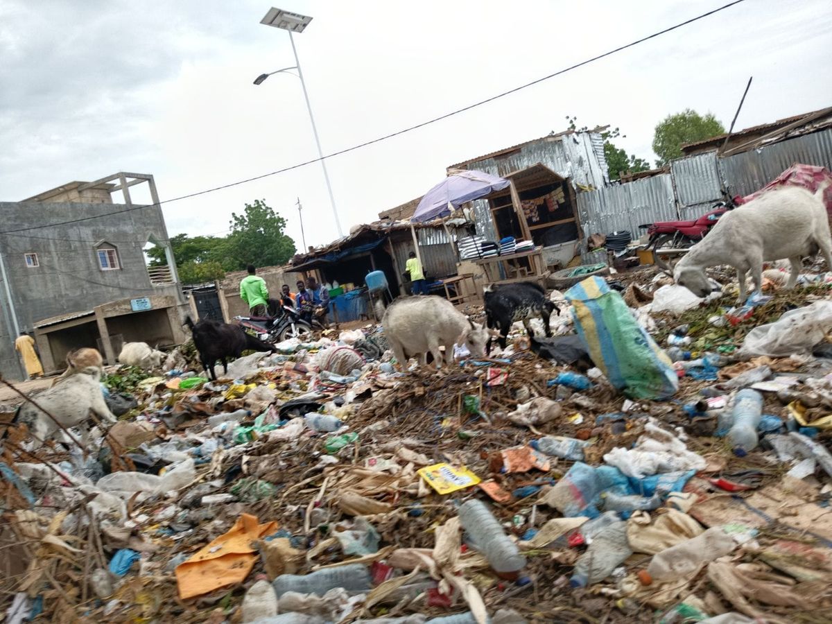 N'Djamena : le calvaire quotidien des habitants de Chagoua 2 face aux ordures