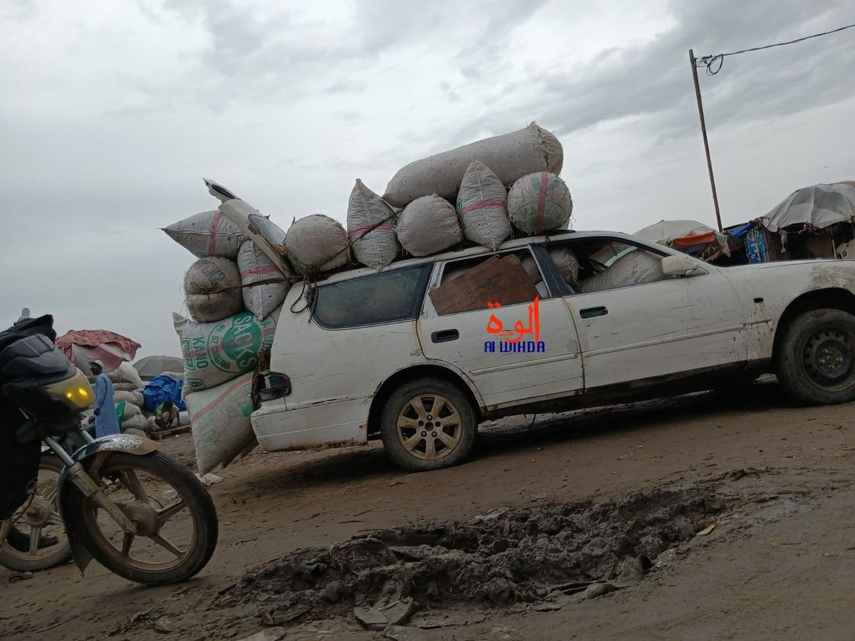 N'Djamena : baisse de prix de l'arachide, un soulagement pour les consommateurs