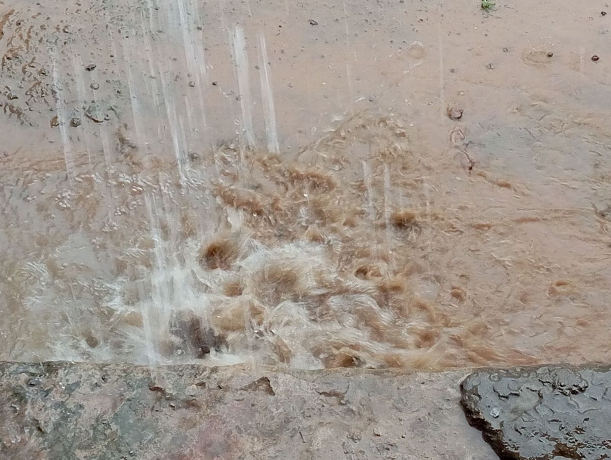 N'Djamena : de fortes pluies mettent fin à une longue période de sécheresse