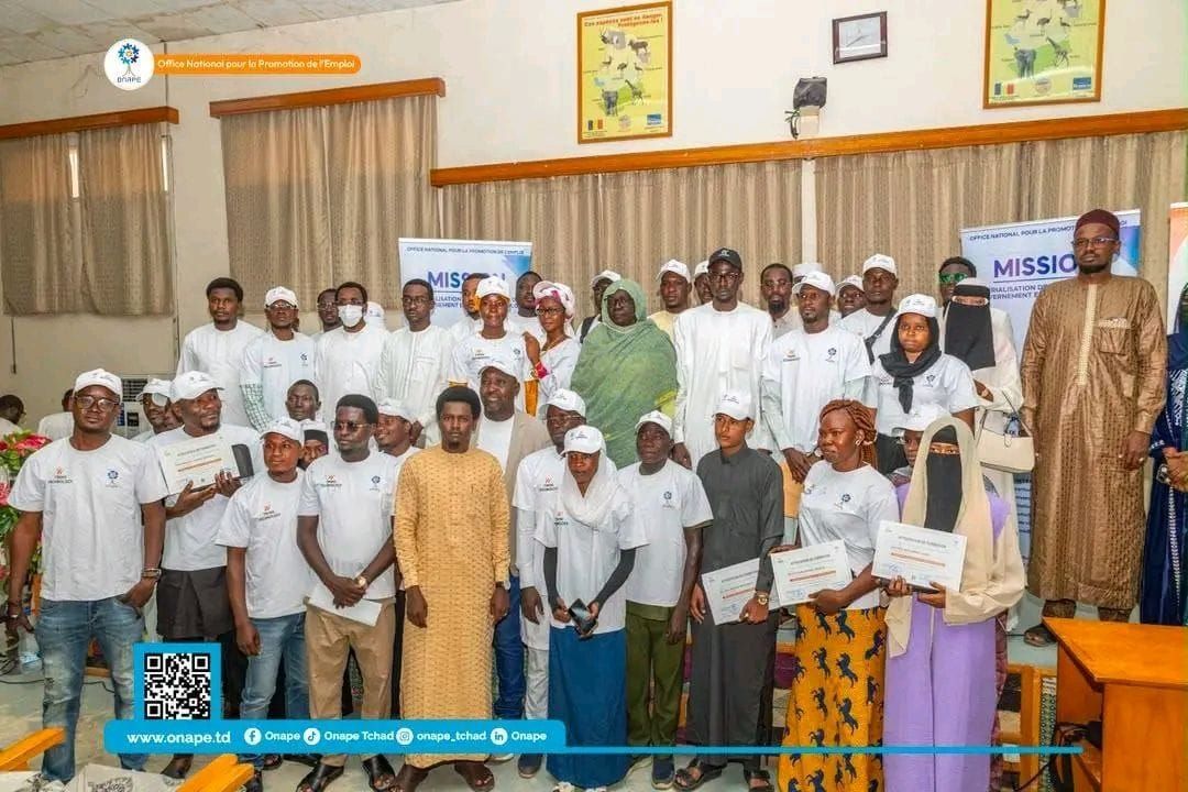 Tchad - Formation aux TIC : l'ONAPE clôture un programme pour 100 jeunes artisans