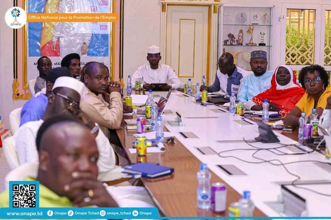 Certification professionnelle au Tchad : les conseillers emploi de l’ONAPE en pré-soutenance
