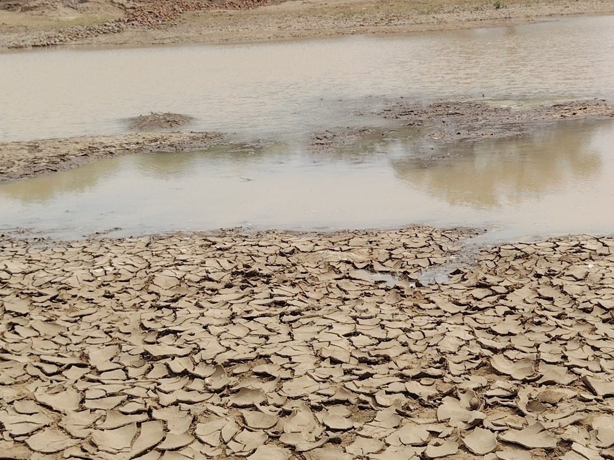 Tchad : au Batha, une délégation ministérielle constate le tarissement alarmant du fleuve