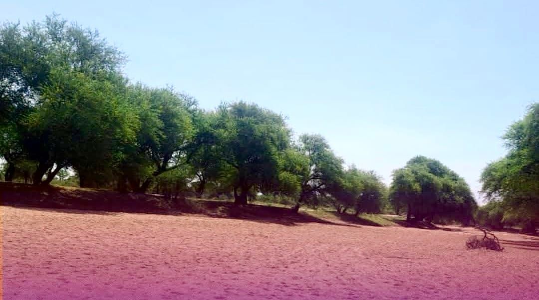 Tchad : au Batha, la rivière « Millim » à sec pour la première fois en soixante ans