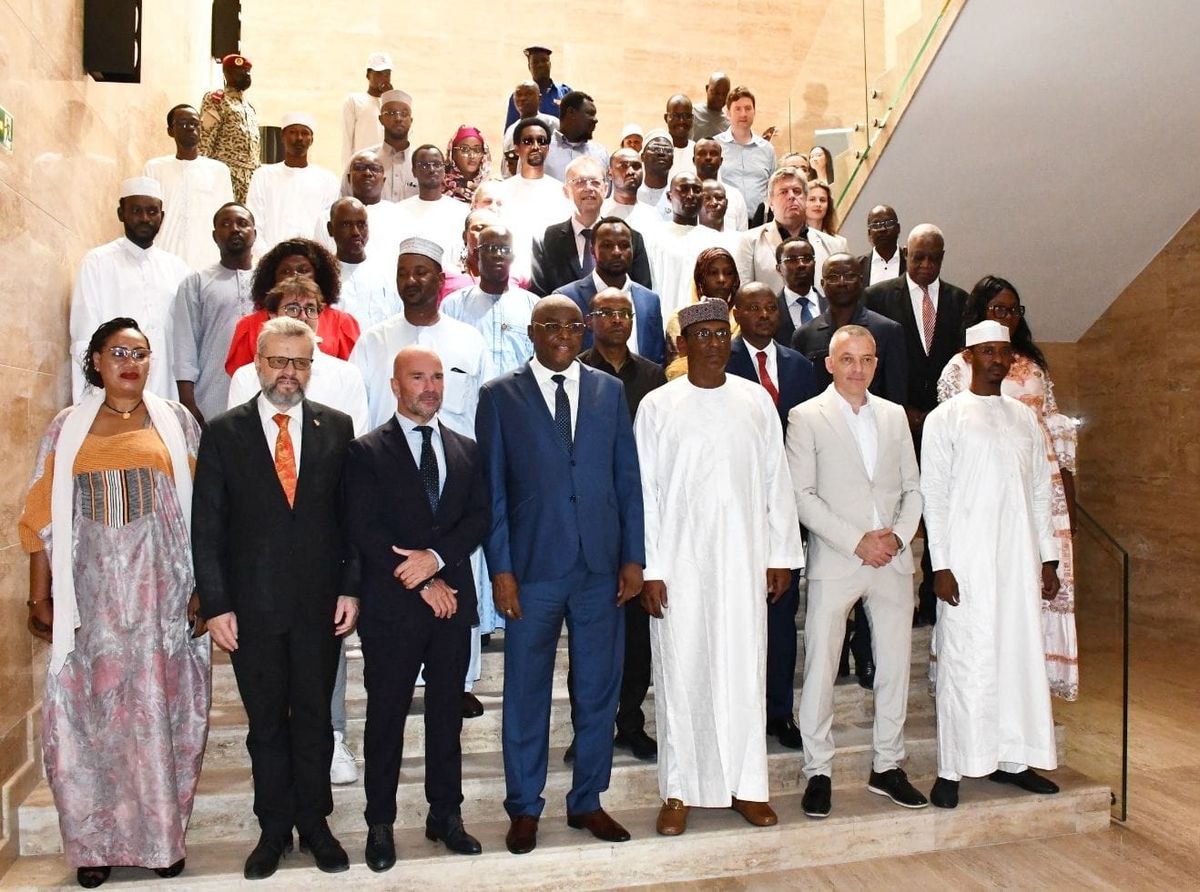 Tchad : le gouvernement lance le projet VELA pour transformer l'accès à l'énergie