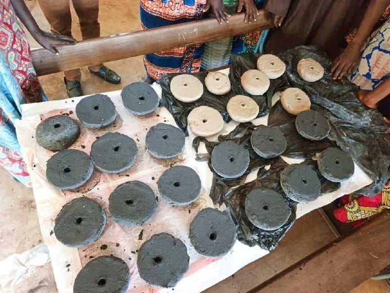 Tchad : à Danamadji, les jeunes formés à la fabrication de pierres à lécher pour dynamiser l'élevage local