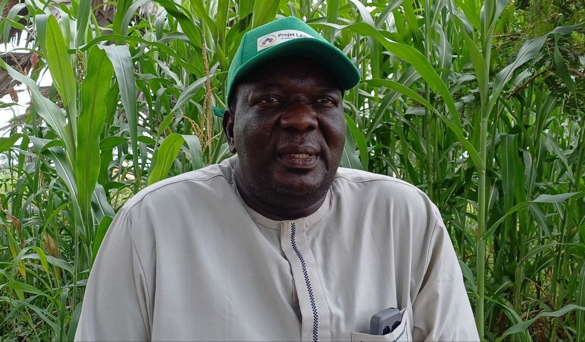 Tchad : Moussafoyo, au cœur des défis et de l'histoire d'un canton centenaire du Moyen-Chari