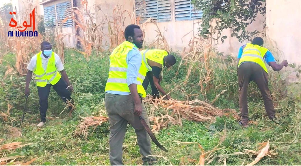 Tchad : à Am-Timan, l'AJELCDES s'engage pour un environnement scolaire propre