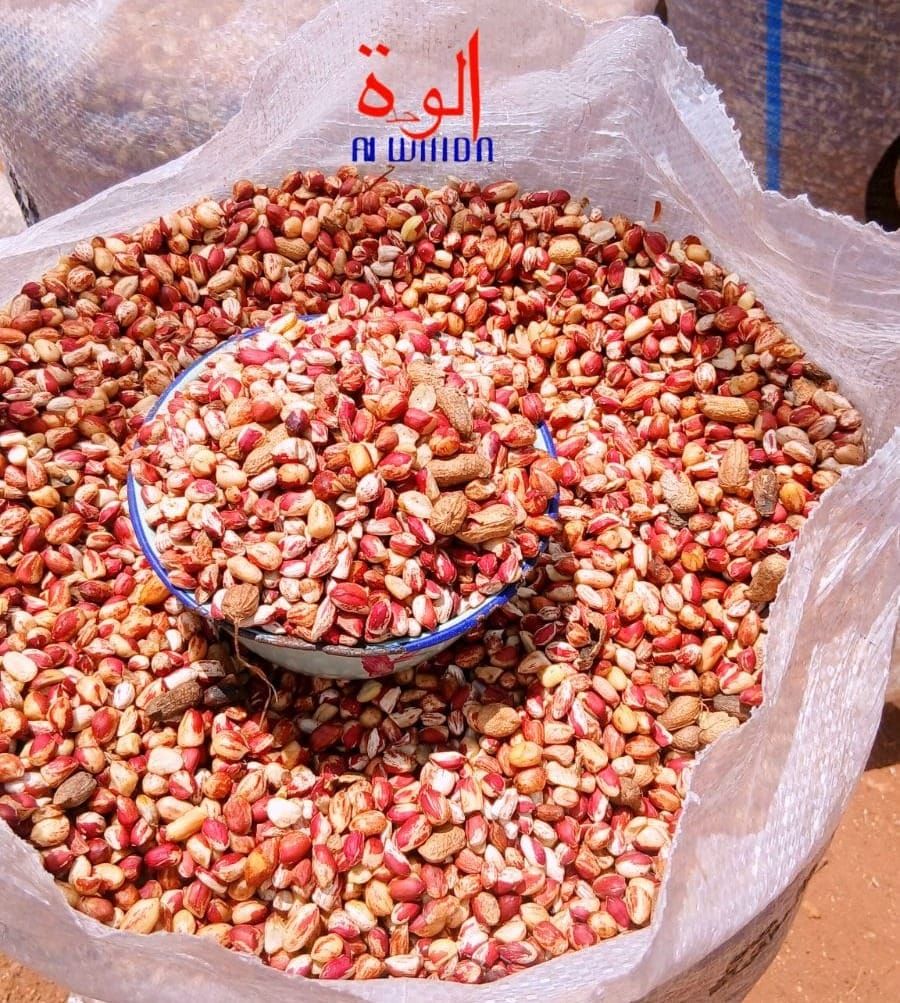 Tchad : à Pala, la filière arachidière fait prospérer paysans et commerçants
