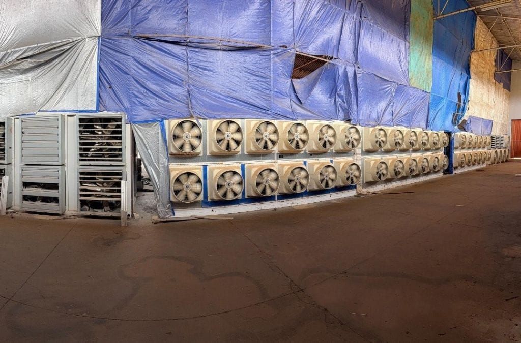 Opération Serengeti III : vaste coup de filet contre la cybercriminalité en Afrique