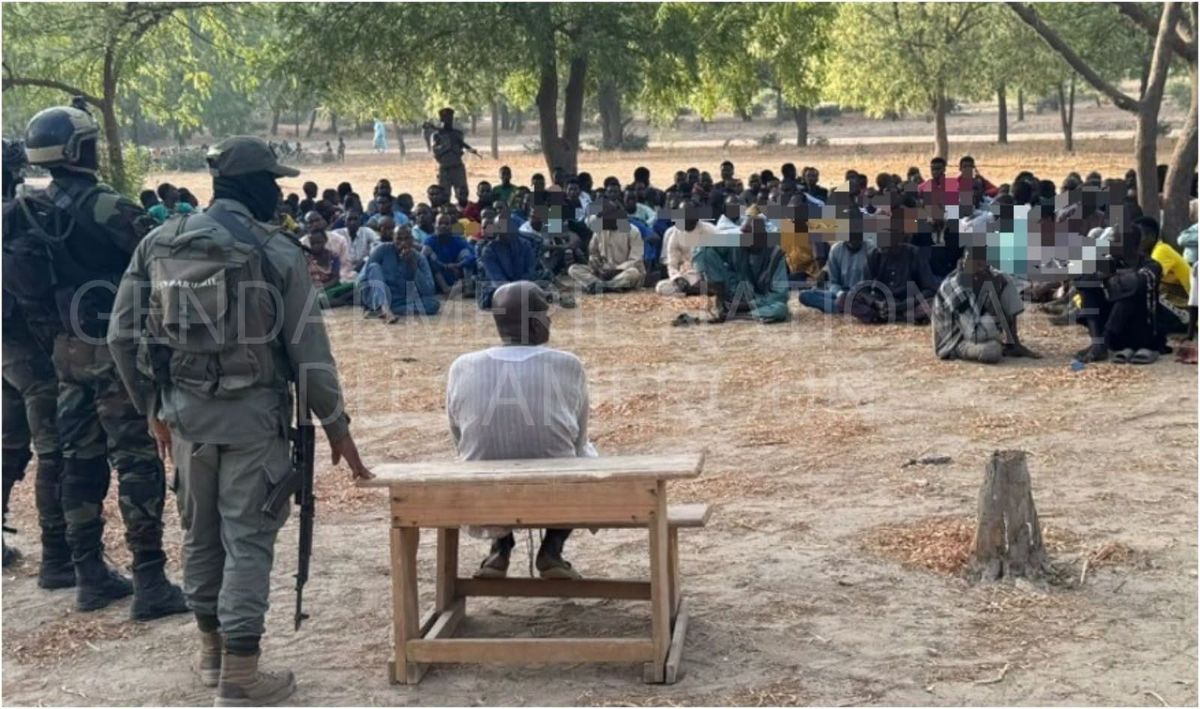 Cameroun : une cellule terroriste démantelée à Kousseri, à la frontière avec le Tchad