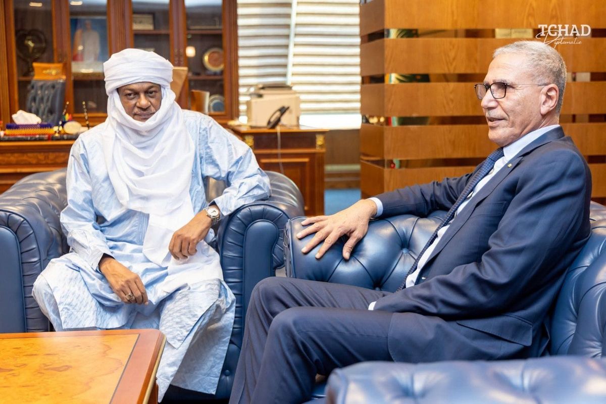 Tchad et Niger : vers un renforcement des relations bilatérales