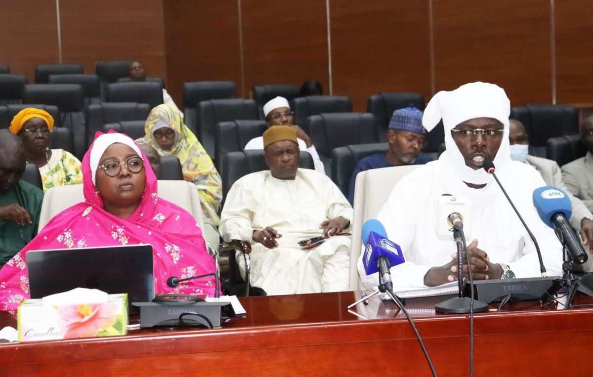 Routes au Tchad : le Sénat exige des sanctions fermes contre la surcharge des camions