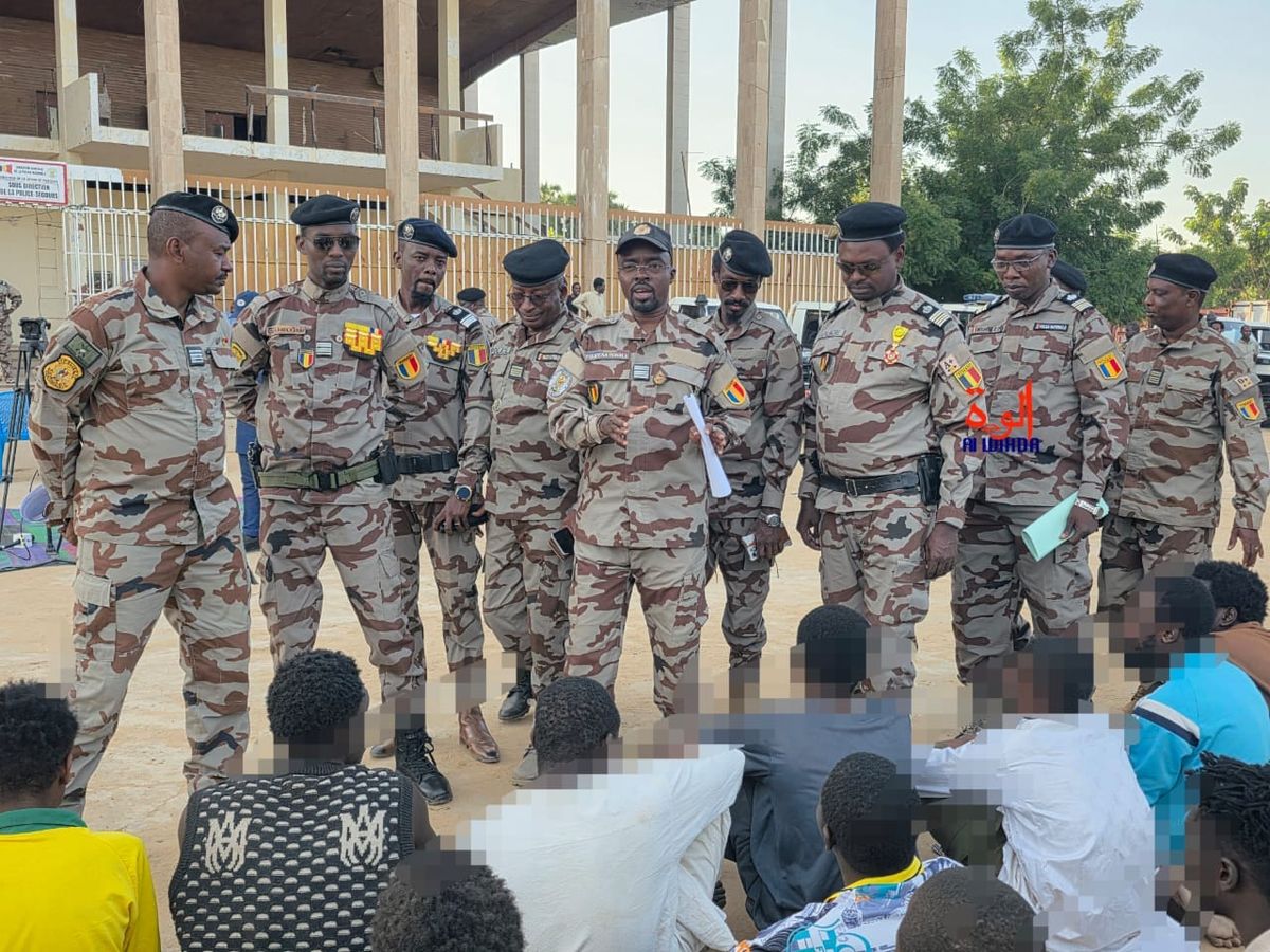 Tchad : saisie d'envergure et arrestation de 47 présumés malfaiteurs par la Police nationale