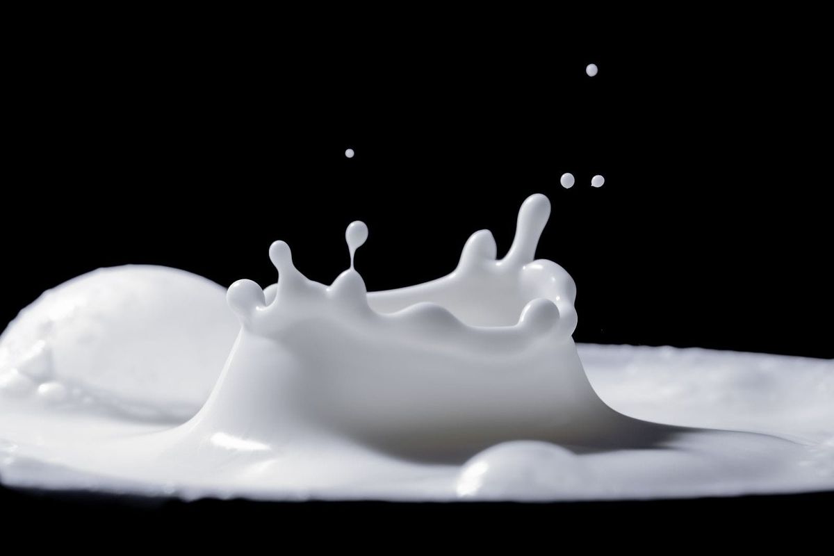Le grand duel des tasses : lait tchadien contre lait en poudre