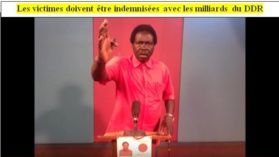 Fidèle Gouandjika, militant du CCPR