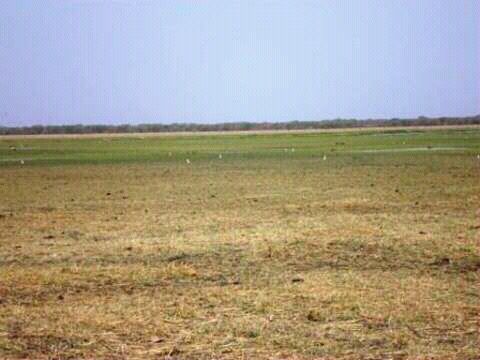 La plaine de Gara. Alwihda Info/M.A.