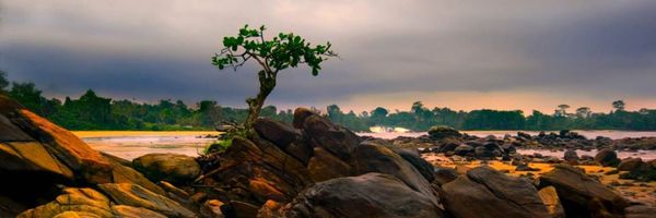 Cameroun:Lancement de la première agence digitale d’informations