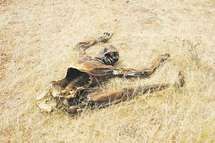 Soudan : Le conflit au Darfour est « dans sa phase finale »