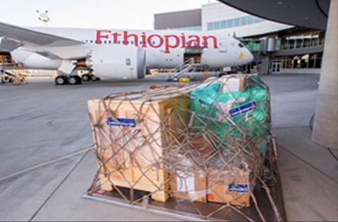 Ethiopian Airlines, Boeing et des ONG mutualisent leurs efforts pour un vol humanitaire.