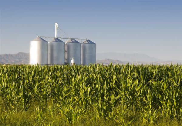 Agribusinesses and African Smallholders Seize $1 Trillion Food Market as Meals Replace Minerals to Restart African Economic Growth, New Report