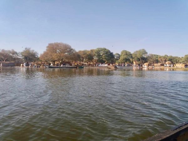 Rives du Lac Tchad. © Alwihda Info