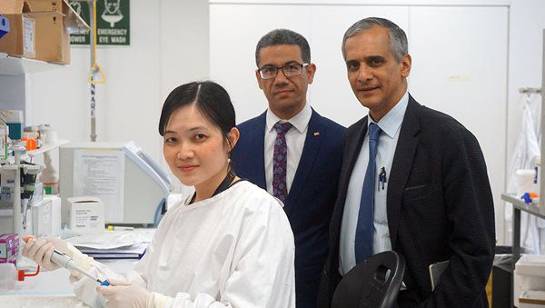 Scientists closer to solving mystery of why lean people get fatty liver disease. © DR