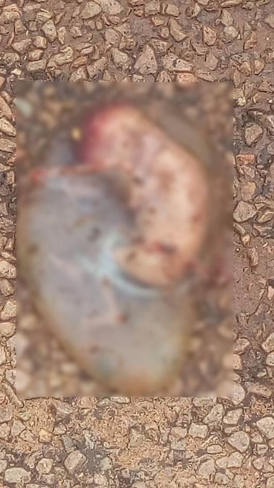 Tchad : une femme jette son fœtus dans la rue à Doba. © Alwihda Info