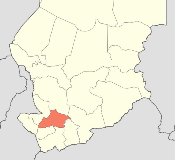 Tchad : un jeune égorgé dans son champ d’arachide au Sud