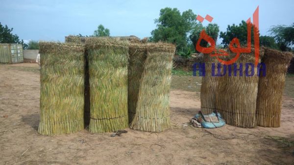 Tchad : au Sila, le commerce permet aux jeunes de se prendre en charge. © Alwihda Info