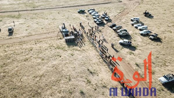 Tchad : 15 addax relâchés dans leur enclos au Wadi Rimé. © Alwihda Info