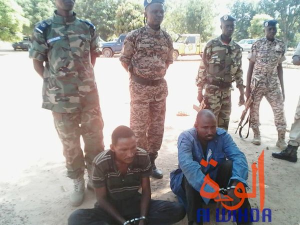 Tchad : double arrestation après l'assassinat d'un homme au Cameroun. © Alwihda Info
